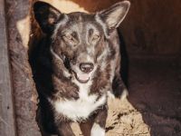 Claire wartet darauf endlich gesehen zu werden