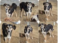 Cara – ein Wirbelwind mit Herz und Neugier