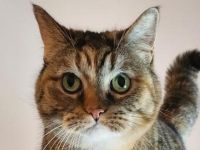 Margret & Melany suchen neuen Wirkungskreis mit gesicherten Balkon