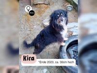 KIRA möchte das Leben leben