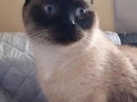 Juno, Vermittlung dringend!!