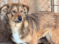 Oki sucht einfühlsame Menschen