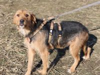 Nova - ein Name wie ein Versprechen