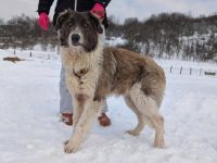 Frumoasa ist bereit für ein neues Leben