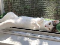Noemie: Neugierig auf die Welt und auf Dich!