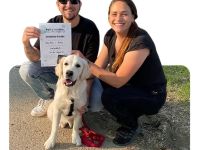 Junghundekurs Kreis Göppingen, Esslingen & Kirchheim/Teck - Wolf's Instinkte - Deine Hundeschule