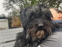 Hugo - sucht das Glück