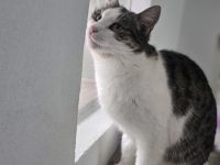 Leni sucht endlich ein neues Zuhause voller Liebe