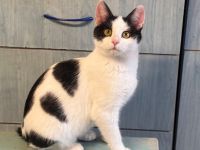 Sanfte Seele sucht stilles Glück: Carla möchte endlich ankommen.