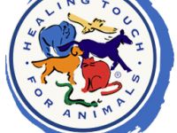 Seminar zum Healing Touch for Animals®-Anwender