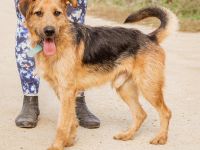 Roland, ein schlaues Bürschchen und sehr aktiv