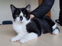 Die liebe Rosa braucht dringend ein Für-Immer-Zuhause