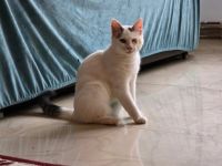 Morticia: Zartes Wesen, großes Herz