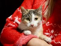 Geduld gesucht, Liebe gefunden: Das ist Mari