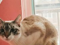 Belle sucht liebevolle Menschen