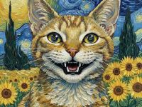 Suchen ein German Rex Kätzchen