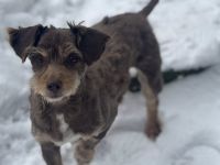 Freundliche Seele Nela möchte noch viel erleben