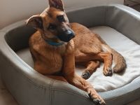 Kate wünscht sich endlich ein zu Hause ....