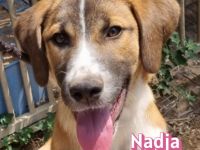 Nadja, 12/24 - aktives Mädel sucht sportliche Menschen