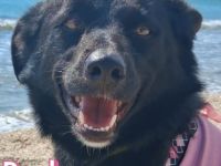 Paola, 08/23 - kleiner Sonnenschein sucht Familie