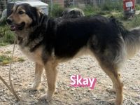 Skay, 08/24 - aktives Mädel sucht aktive Menschen