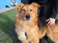 Ace: Gemeinsam die Welt entdecken - Schritt für Schritt