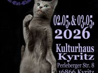 Internationale Katzenausstellung