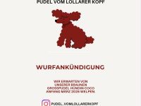 Vom Lollarer Kopf