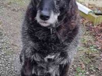 Paula freundliche Seniorin