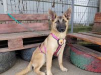 Yumiko - süß und menschenbezogen