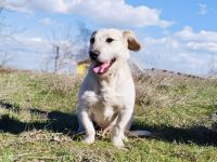 Irma ein super liebes Mädchen