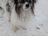 Lennox und Bounty zu vermitteln