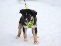 Lobella wartet auf ihre Familie