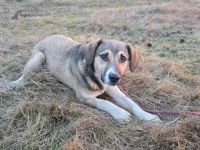 Valerio - gesellig, treu, aktiv und unkompliziert.