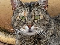 REDNECK sucht ein ruhiges Zuhause