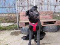 Sonnenschein Kyoko sucht ihre Menschen