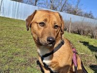 Carlos, freundlich und lieb