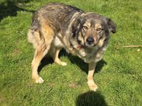 Warum will mich denn keiner ?