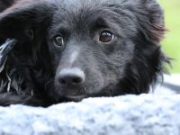 Ace such seine Herzensmenschen...