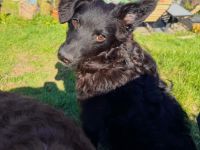 Ace such seine Herzensmenschen...