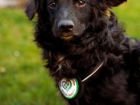 Ace such seine Herzensmenschen...