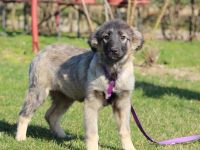 Adina sucht ihr zu Hause..