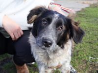 Kascha und du, wäre das was?