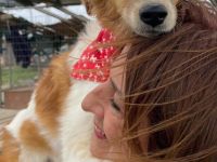 Foxy 11/25 - bezauberndes Wuschelchen sucht Familie