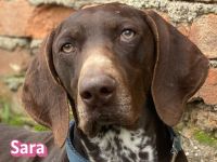 Sara, 10/24 - aktives Mädel sucht Familie