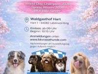 Internationale Rassehunde und Liebhaber Hundeausstellung