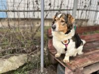 Tyra: Klein und neugierig, aber auch mit großem Herz!