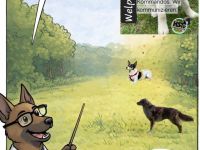 Hundeplatz Tecklenburg-Leeden