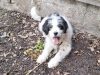 Fenja sucht Ihre Familie