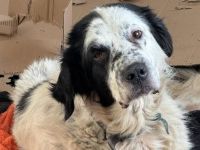 Notfall Robinson sucht guten Samariter